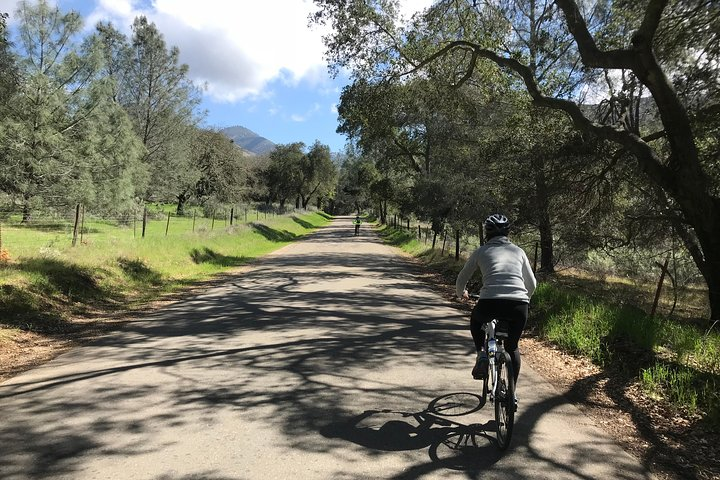 Wine Country Cyclists
